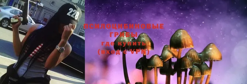 MEGA ссылка  Выкса  Галлюциногенные грибы Psilocybe 